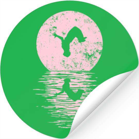 Parkour, Freerunning, Street Workout Acrobatic Stickers