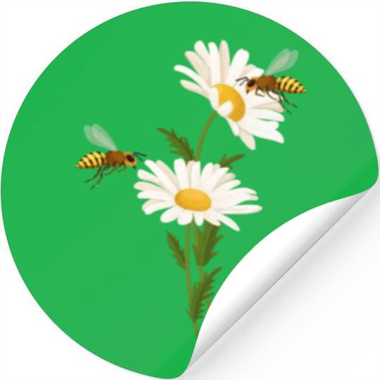 Marguerites Daisy Summer Daisies Flower Garden Stickers