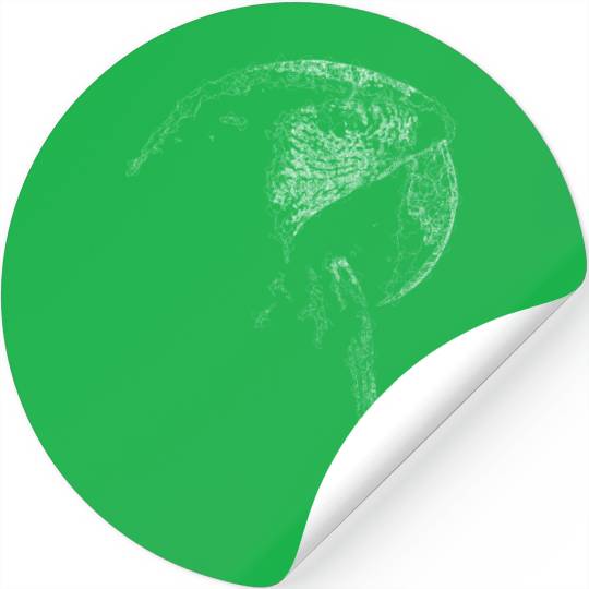 Macaw Lines Art Stickers