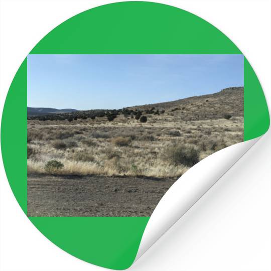 Antelope near Grand Canyon West Stickers