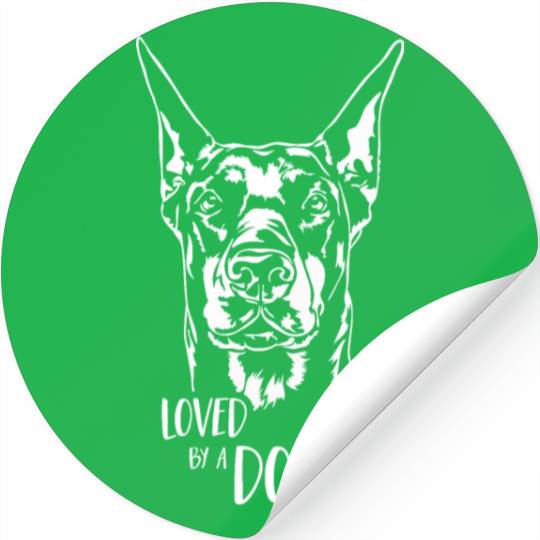 Doberman Loved by a Dobie dog saying dog Stickers
