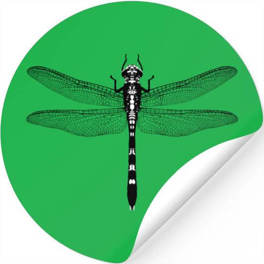Graphic of a dragonfly Stickers