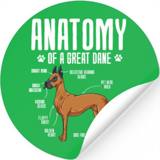 Anatomy Of A Great Dane Stickers