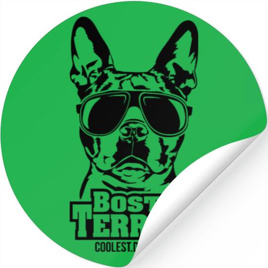 Boston Terrier coolest dog ever dog mom Stickers