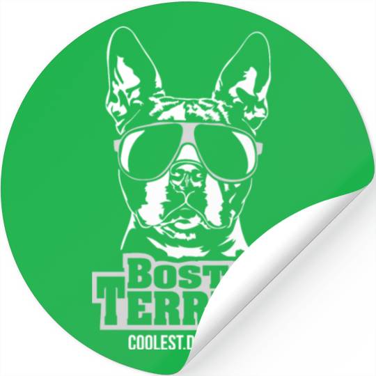 Boston Terrier coolest dog ever dog mom Stickers