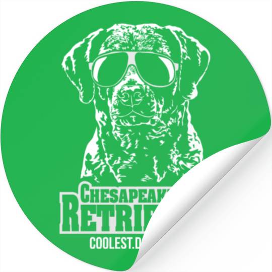 Chesapeake Bay Retriever coolest dog ever dog mom Stickers