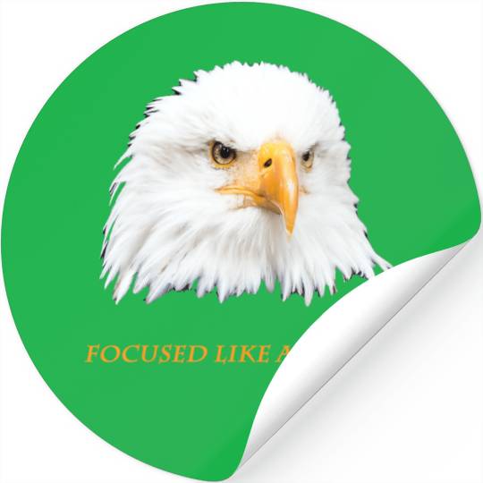 Bald Eagle Gift Idea Focussed like an Eagle Photo Stickers