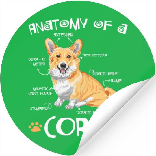 Anatomy Of A Corgi Funny Corgi Dog Lover Pet Owner Stickers