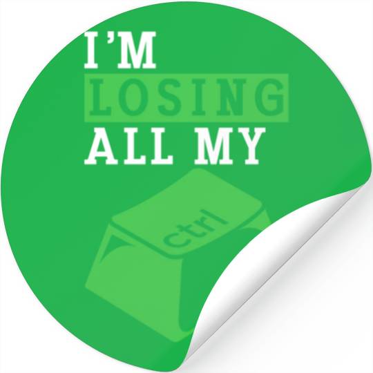 Cyber Security Computer Key Software Engineer Stickers