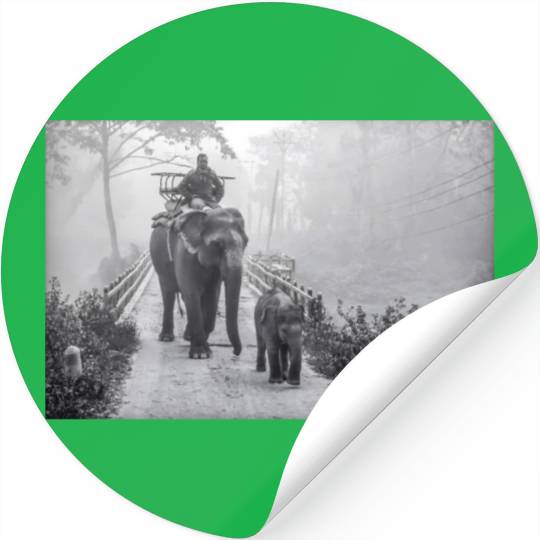 Elephant Mom and Baby In Jungle Safari Stickers