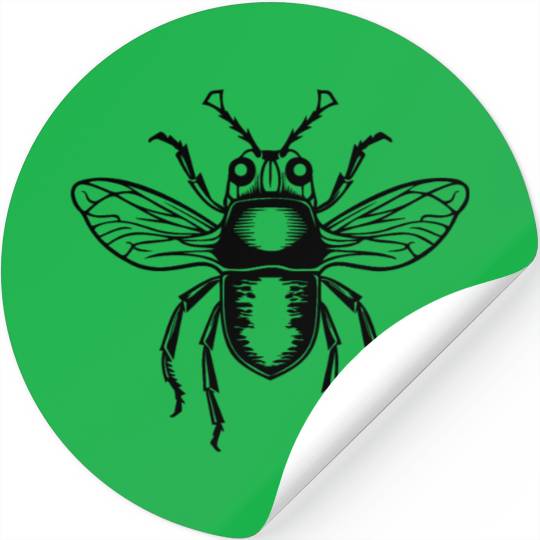 Bug Beetle Insect Stickers