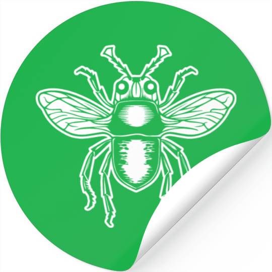 Bug Beetle Insect Stickers