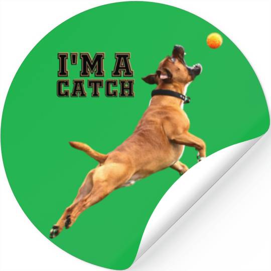 Big Dog Bull Mastiff Catching a Ball, I'm a Catch Stickers
