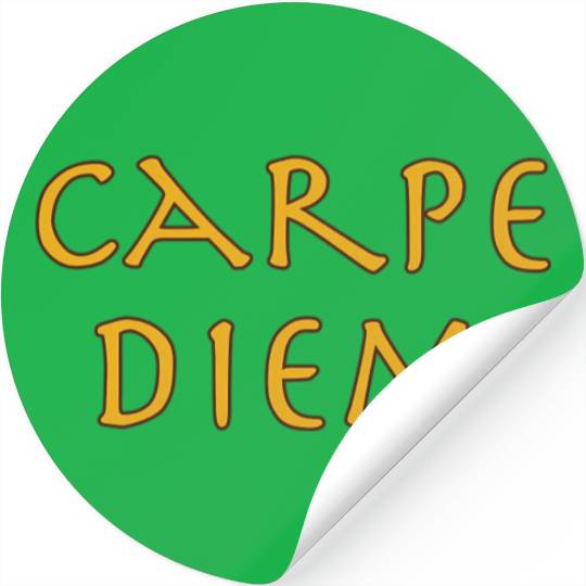 Carpe Diem Happiness Inration For Busy People Stickers