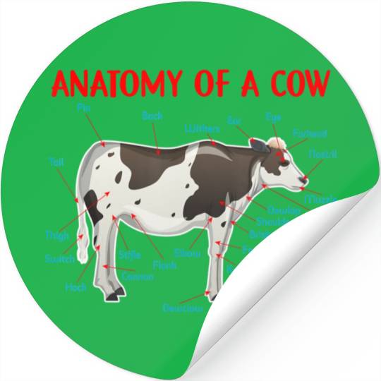 Anatomy Of A Cow Educational Cow Farmer Stickers