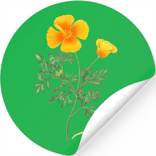 Californian Poppy Botaal Illustration Flower Stickers