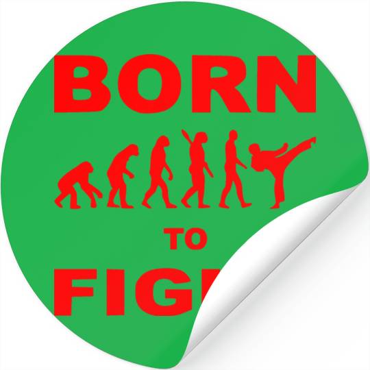 Born To Fight Karate MMA ©WhiteTigerLLC.Com Stickers