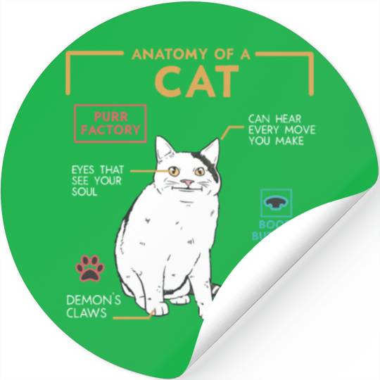 Funny Weird Cat Meme Smiling Anatomy of A Cat Stickers