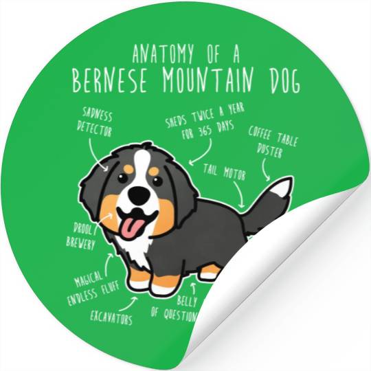 Bernese Mountain Dog Anatomy Stickers