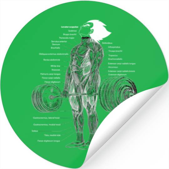 Anime Muscle Anatomy Ch Gym And Workout Motivation Stickers