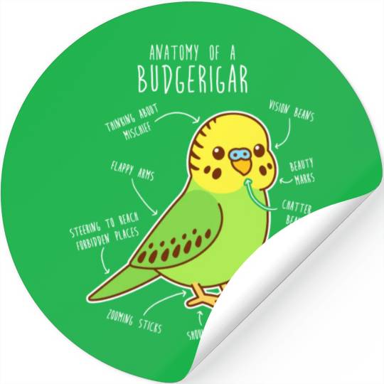 Green Budgie Anatomy Stickers