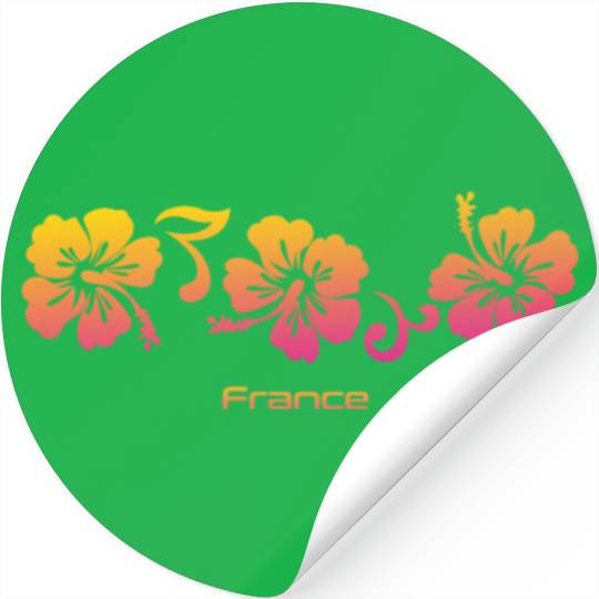 France Hibiscus Souvenir Vacation Stickers