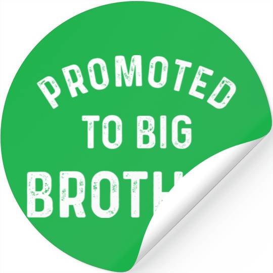 Promoted To Big Brother Stickers