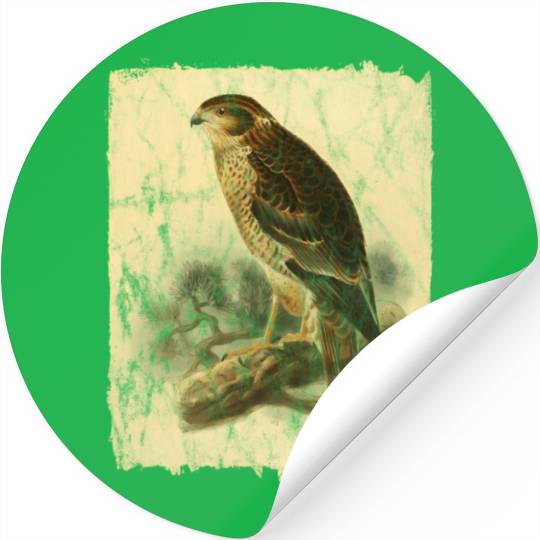 Bird Facon Hawk Stickers