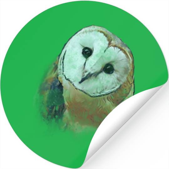Barn Owl Painting Owl Stickers