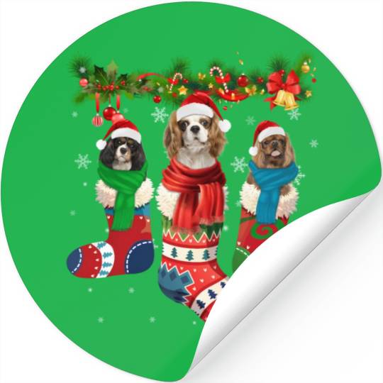 Three Cavalier King Charles Spaniel In Sock Stickers