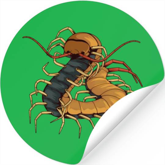 Illustration Insect Stickers