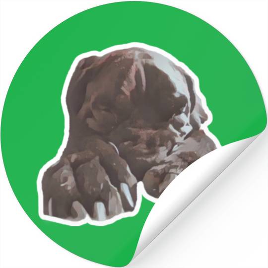 Cane corso in its natural sleeping environment Stickers