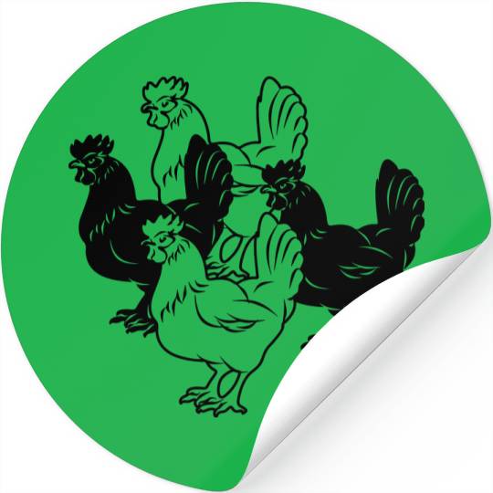 Chickens two dark and two light chickens Stickers