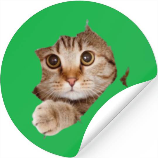White Free Cute Funny Cat Stickers removebg