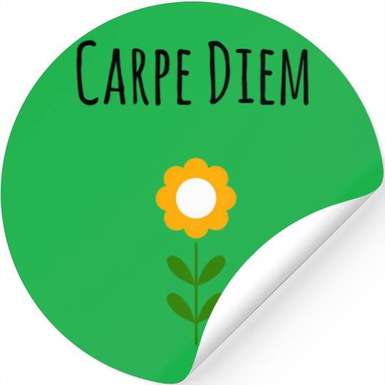 Carpe Diem Inspirational Stickers