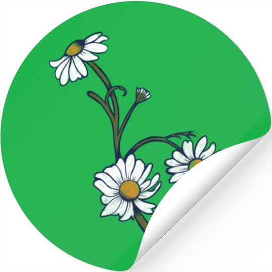 Beautiful Daisies In The Garden Stickers