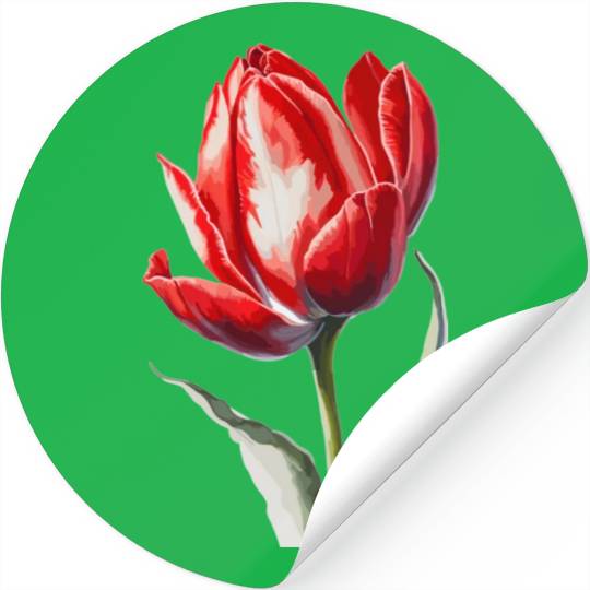 a red tulip flower Watercolor Stickers