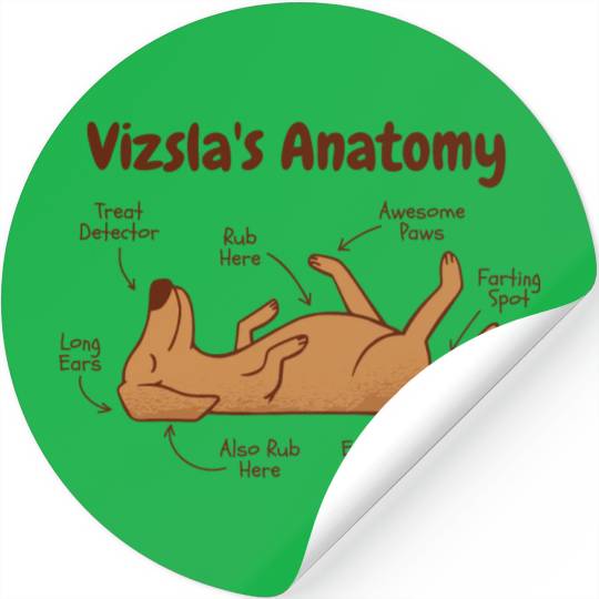 Vizsla dog animal funny anatomy Stickers