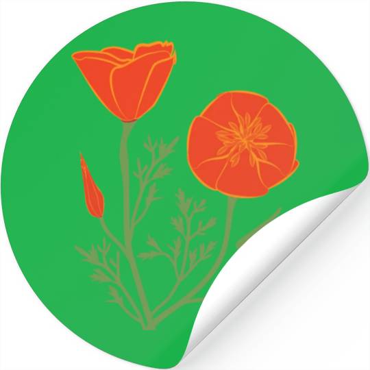 California Poppies on Clear Background Stickers