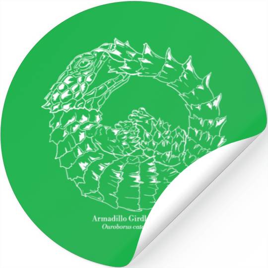 Ouroborus cataphractus Armadillo Girdled Lizard Stickers