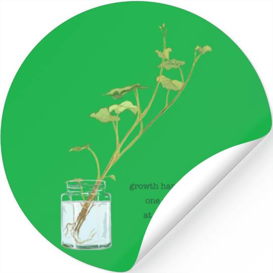 Growth Happens One Step At A Time Stickers