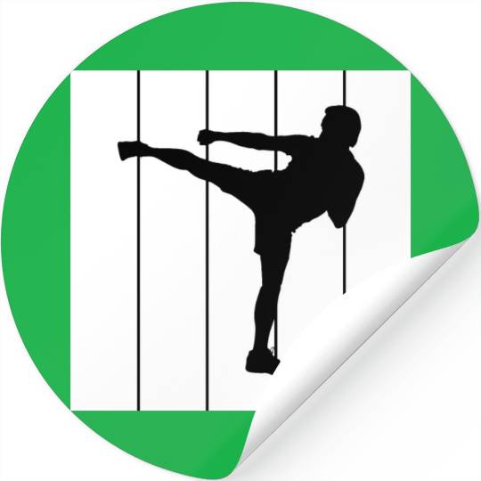 Fighter MMA Karate Taekwondo Jiu Jitsu training Stickers