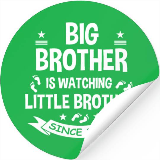 Big Brother Watching Little Brother 2024 Baby Stickers