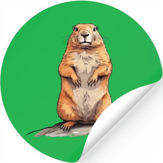 Groundhog Marmot for a Marmot lover groundhog fan Stickers