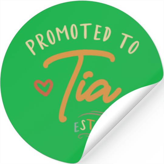 Promoted To Tia Established 2024 Funny Aunt Stickers