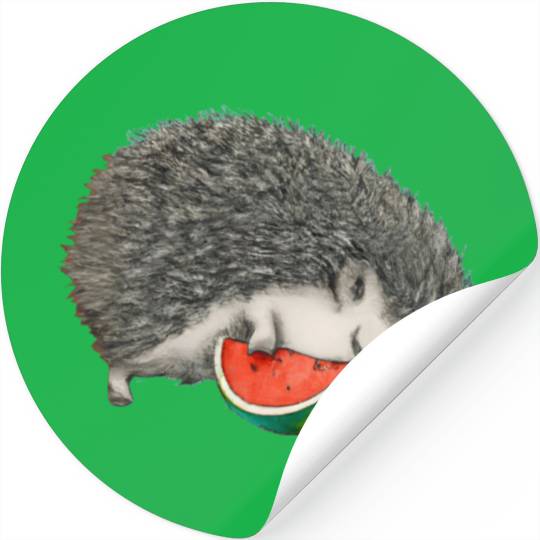 Hedgehog Sleeping With Watermelon Stickers
