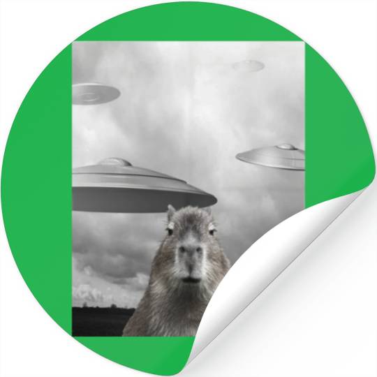 Funny Graphic Capybara Selfie with UFOs Weird Stickers