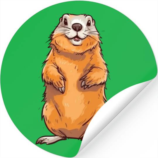 Groundhog Marmot for a Marmot lover groundhog fan Stickers