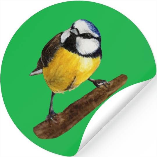 Blue tit titmouse hand painted watercolor. Stickers