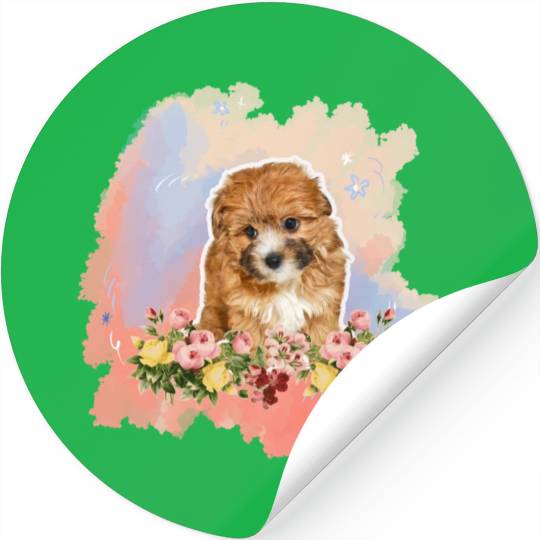 yorkie poo Stickers